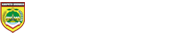 logo-footer